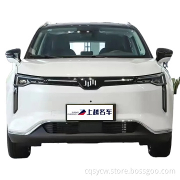 Hot Selling WM Motor W6 2021 NEVs New Energy Vehicles 2023 Good Design electric motor car Suv WM Motor sports car auto electric